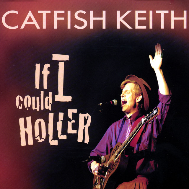 If I Could Holler album cover