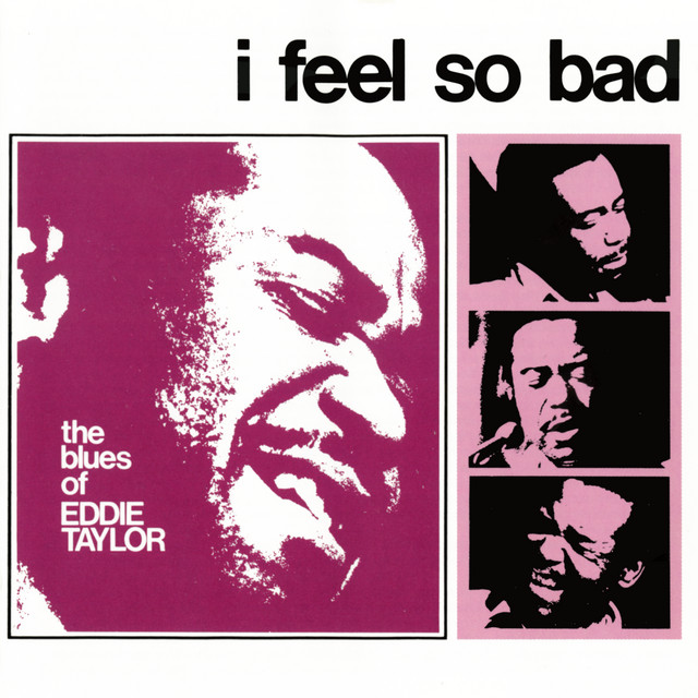 I Feel So Bad album cover