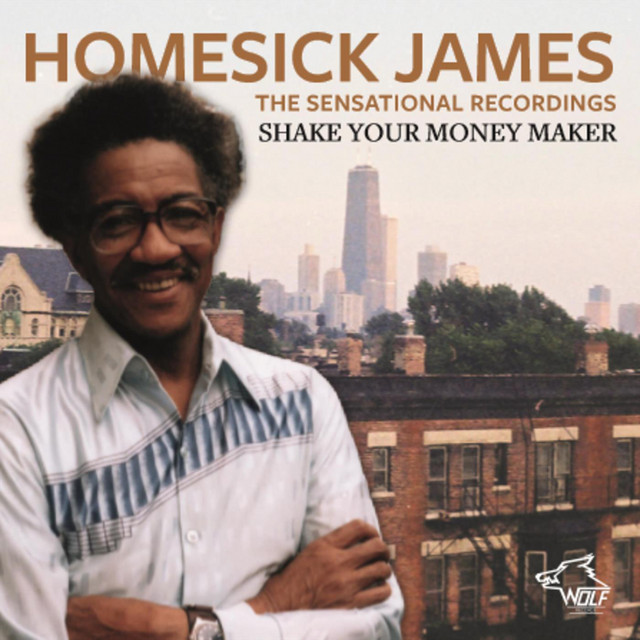 Shake Your Money Maker album cover