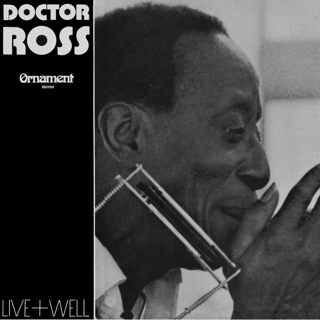 Blues and Boogie from Detroit (Live) album cover