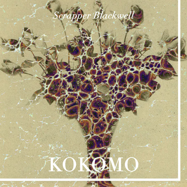Kokomo album cover