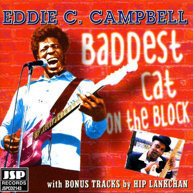 Baddest Cat On The Block album cover