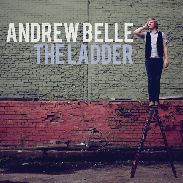 The Ladder album cover