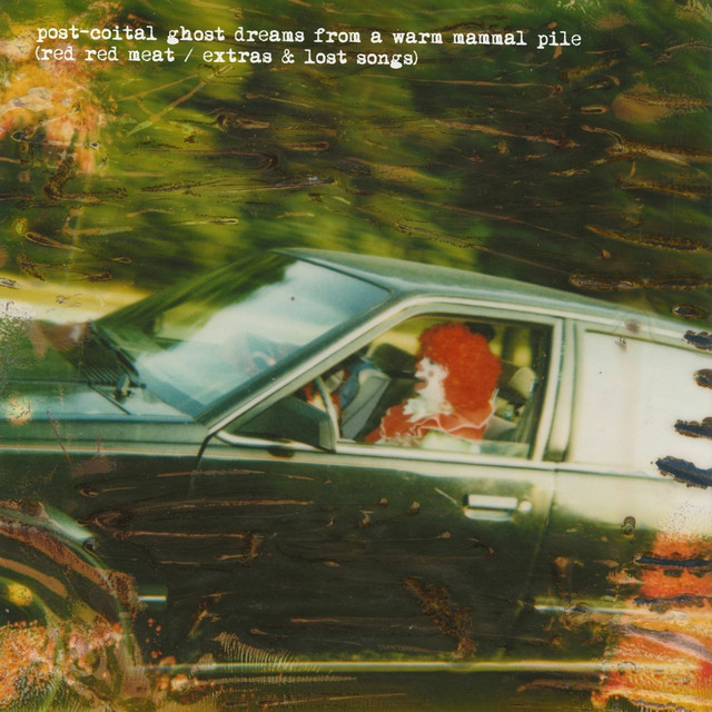 Post-Coital Ghost Dreams From a Warm Mammal Pile album cover
