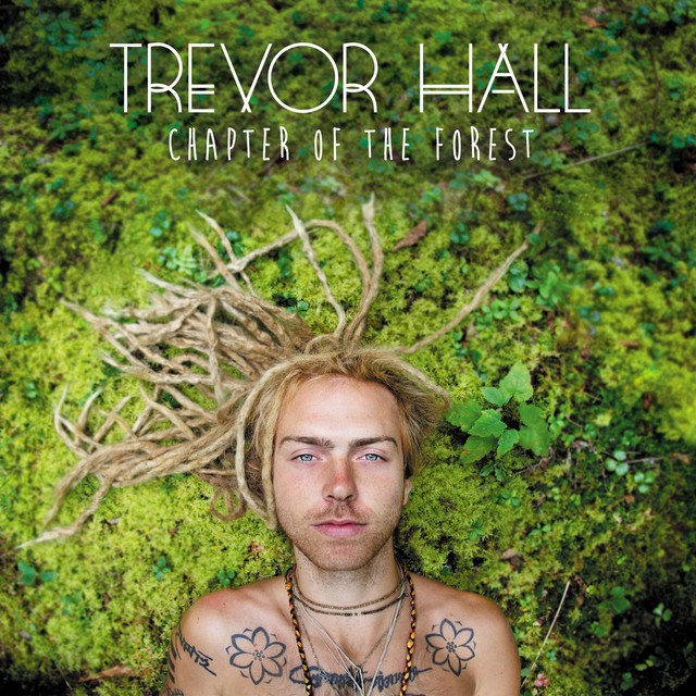 Chapter Of The Forest album cover