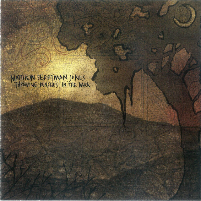 Throwing Punches In the Dark album cover
