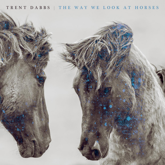 The Way We Look at Horses album cover