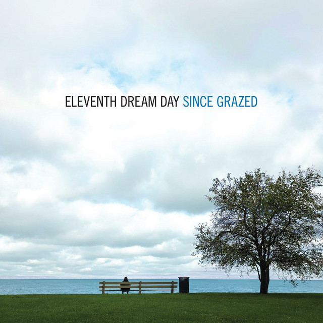 Since Grazed album cover
