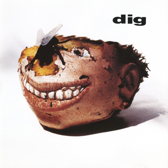 Dig album cover