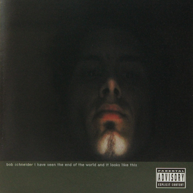 I Have Seen the End of the World and It Looks Like This album cover