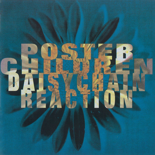 Daisychain Reaction album cover