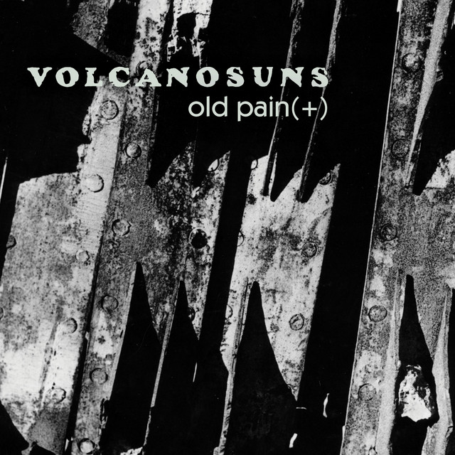 Old Pain(t): Live at City Gardens album cover
