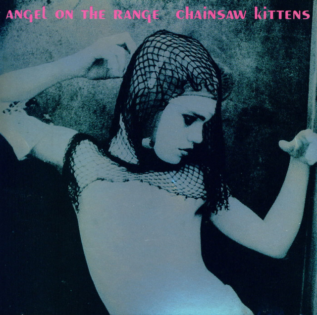 Angel On The Range album cover