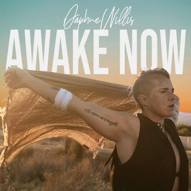 Awake Now album cover