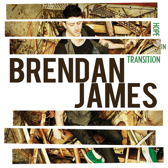 Hope in Transition album cover