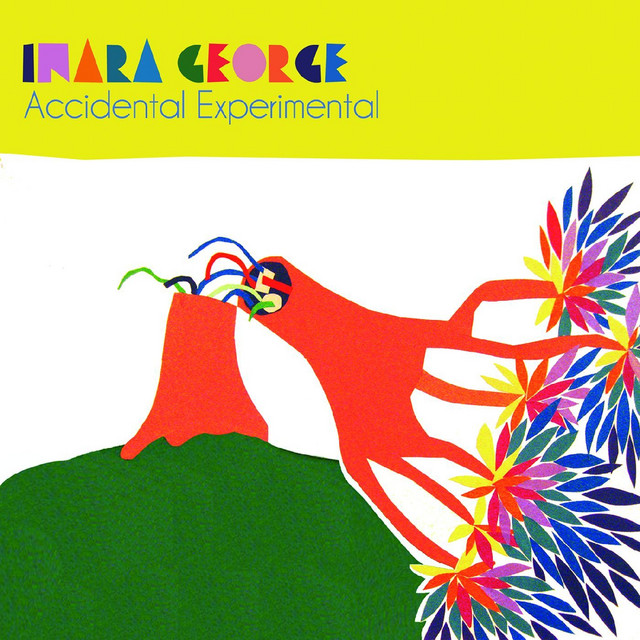 Accidental Experimental album cover