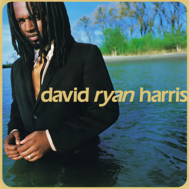 David Ryan Harris album cover