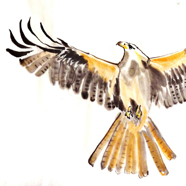 The Phoenix album cover