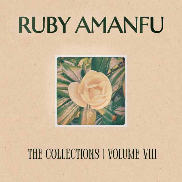 THE COLLECTIONS VOLUME VIII album cover