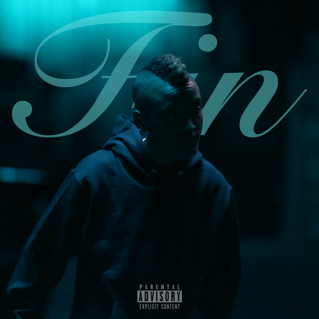 Fin album cover