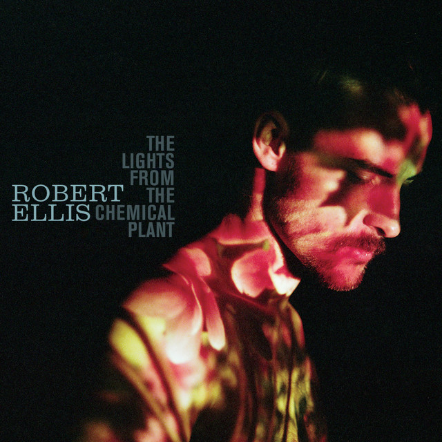 The Lights from the Chemical Plant album cover