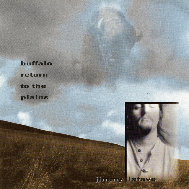 Buffalo Return to the Plains album cover
