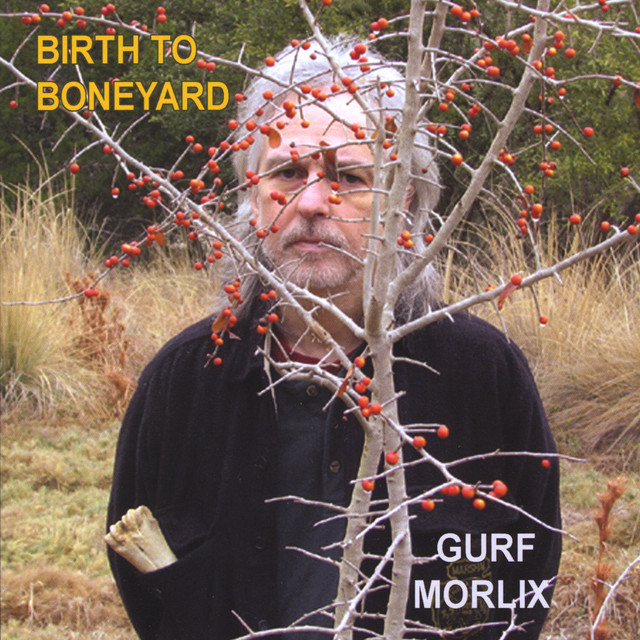 Birth To Boneyard album cover