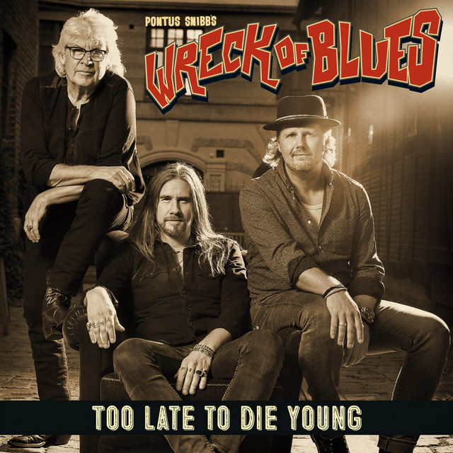Too Late to Die Young album cover