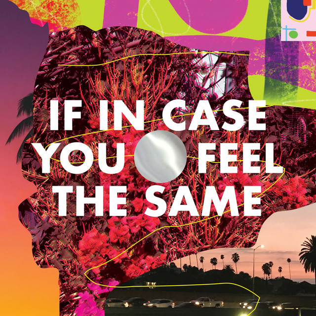 If In Case You Feel The Same album cover