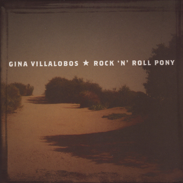 Rock N Roll Pony album cover
