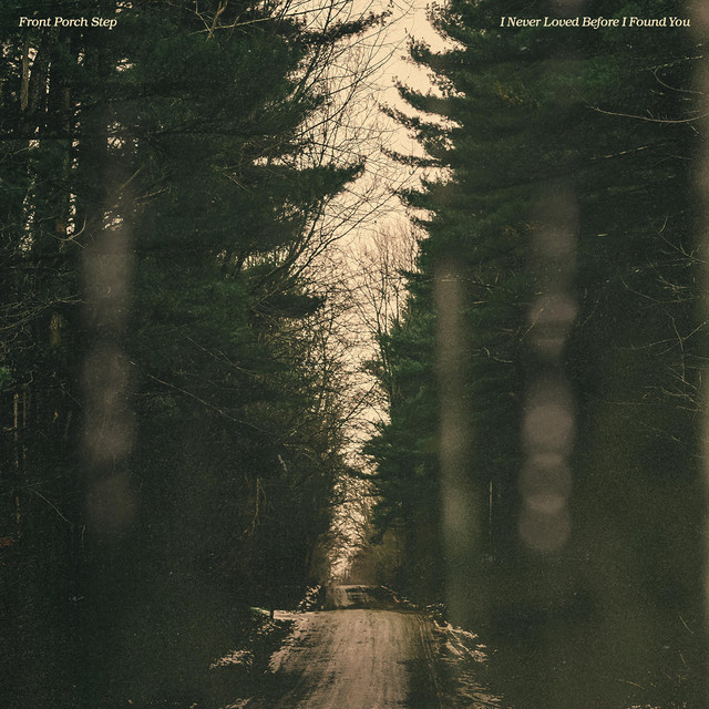 I Never Loved Before I Found You album cover