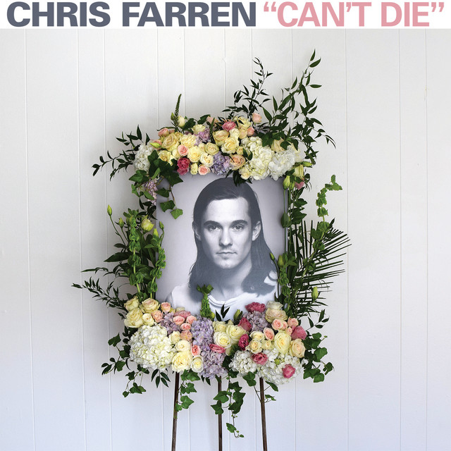 Can't Die album cover