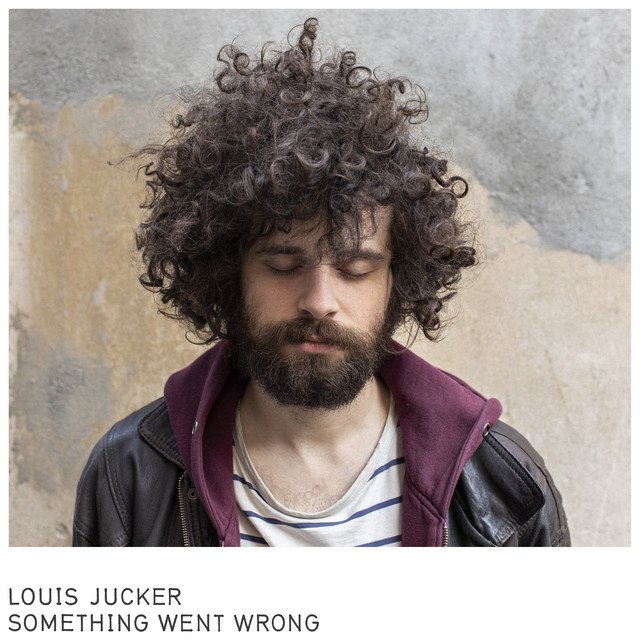 Something Went Wrong album cover