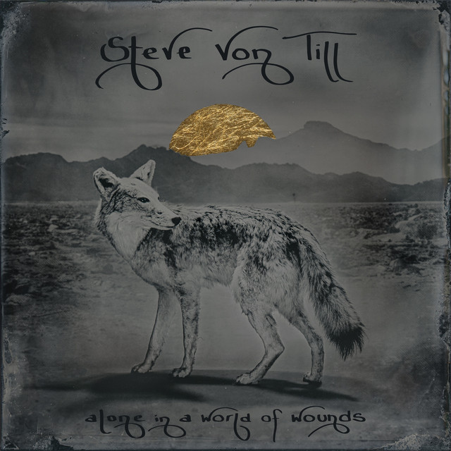 Alone in a World of Wounds album cover