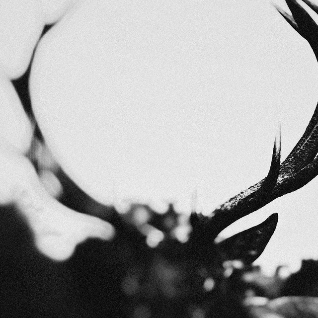 IHSAHN (Orchestral Version) album cover