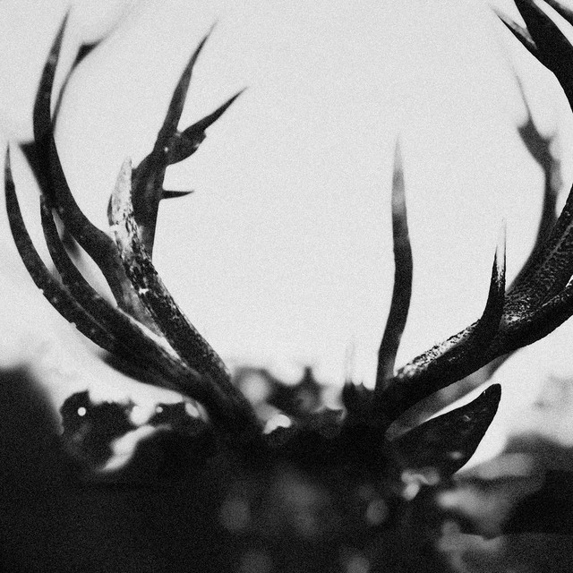 IHSAHN album cover