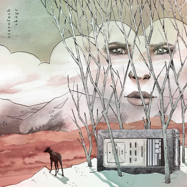 Skógr album cover
