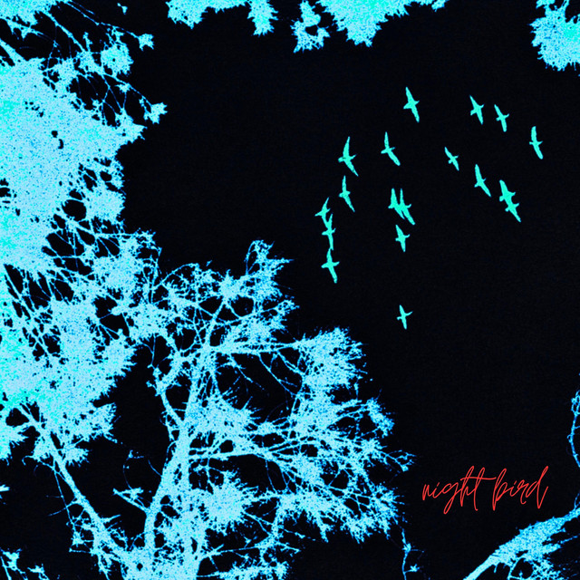 Night Bird album cover