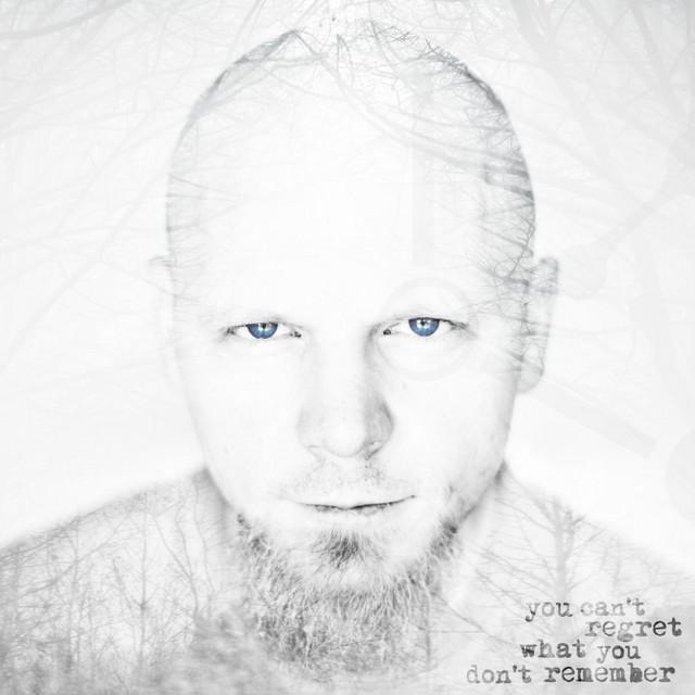 You Can't Regret What You Don't Remember album cover