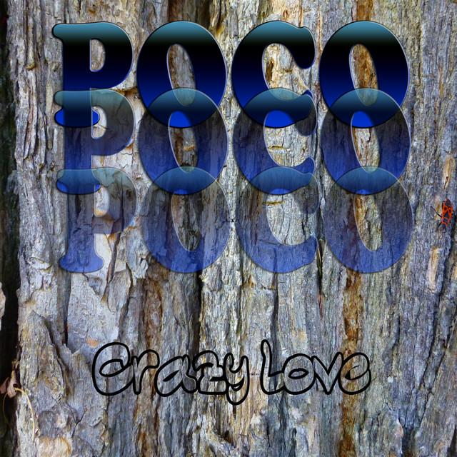 Crazy Love album cover