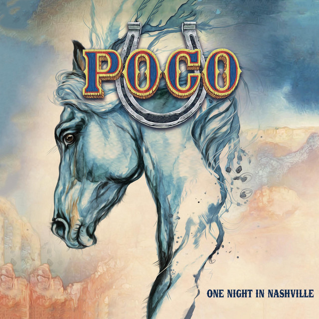 One Night in Nashville (Live) album cover