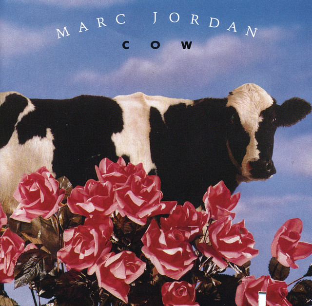Cow album cover