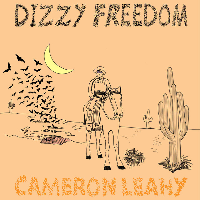 Dizzy Freedom album cover