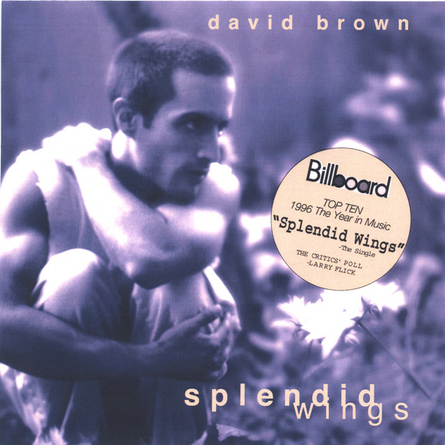 Splendid Wings album cover