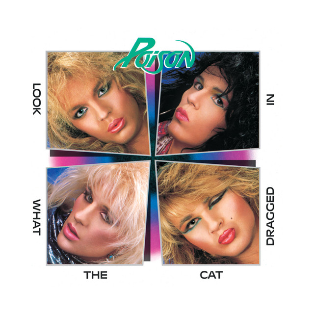 Look What The Cat Dragged In album cover