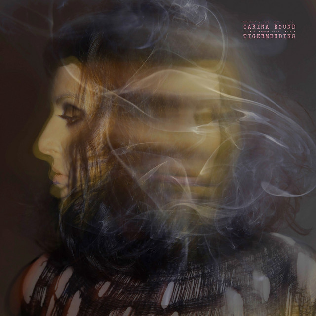 Tigermending album cover