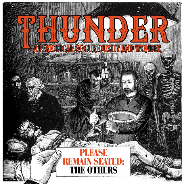 Please Remain Seated - The Others album cover