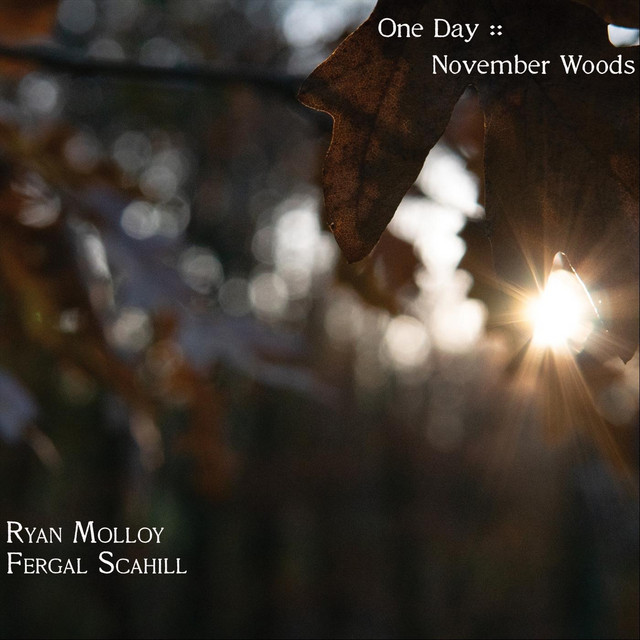 One Day: November Woods album cover