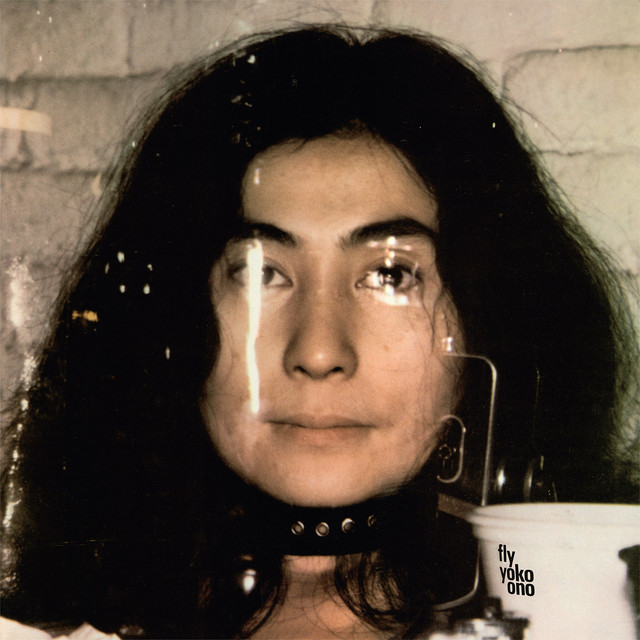Fly album cover