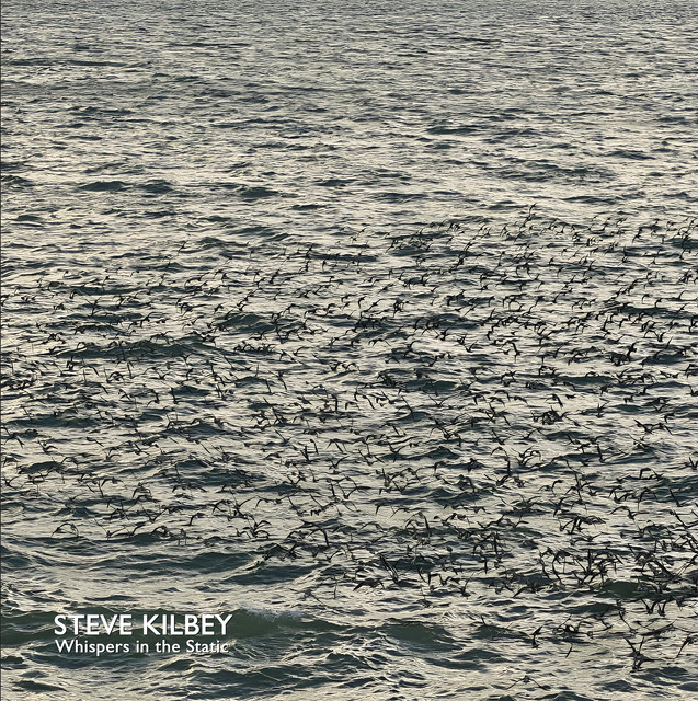 Whispers In The Static album cover